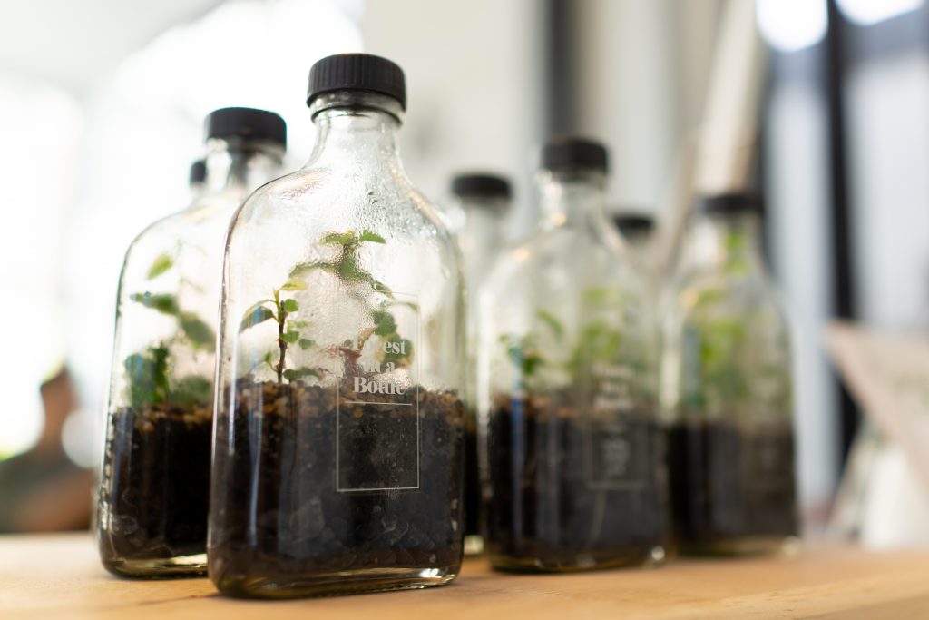 Decora el jardín con botellas de vidrio